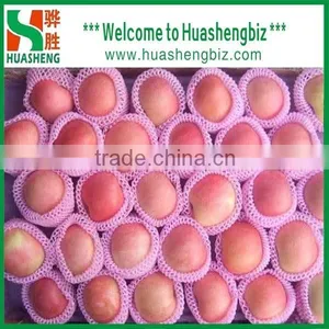China 9kg-20kg Carton Fresh Fuji Apple thumbnail-3