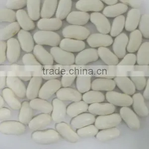 White Kidney Beans thumbnail-1
