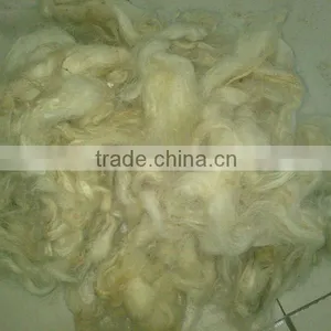 Greasy Wool for Sale thumbnail-1