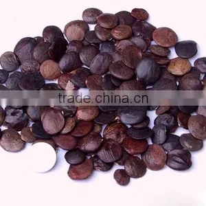 Wisteria Tree Seeds Chinese Wisteria Sinensis Seeds Vine Purple Flowers Bonsai Seeds For Planting thumbnail-3