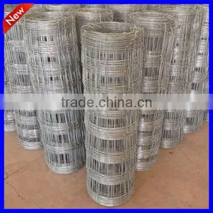 DM Hot Sale HDG High Quality Field Fence ( Anping Factory ) thumbnail-4