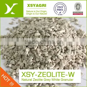 Clinoptilolite High CEC Green Nature Zeolite for Water Treatment thumbnail-4