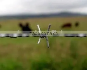 ISO 9001 Standard Low Price Concertina Razor Barbed Wire ( Factory ) thumbnail-4