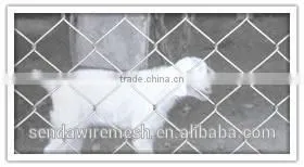 Cattle Fence thumbnail-1