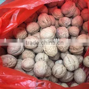 Small Green Walnut Peeling Washing Dehusking Machine thumbnail-2