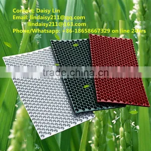 353 Cell Paddy Seedling Tray, Starting Trays Wholesale, 50g thumbnail-1