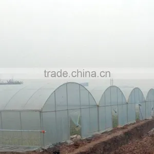 Independent Ecological Greenhouse Anti-fog and Dirt thumbnail-1