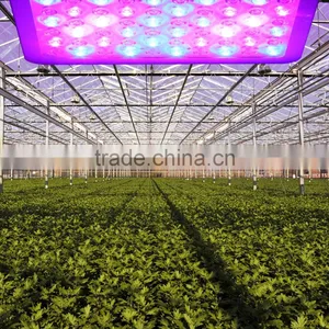 Plant Grow Light for Flowering Plant Vegetables, Energy Saving Downlight Plant Light for Indoor Hydroponic Garden Greenhouse thumbnail-3