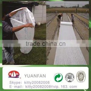 BSCI PASS -- [ Factory Supply ] S / SS Spunbond Agriculture Nonwoven Cover Fabric for Ground Cover / Plant Cover thumbnail-6