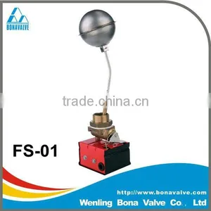 Steam Level Control / Flow Switch (FS-01) thumbnail-1