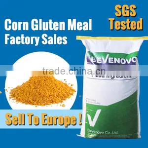 Corn Gluten Meal OEM Bag Can Be Offer For 65 Protein thumbnail-1