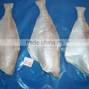 Frozen Leather Jacket Fish Whole thumbnail-3