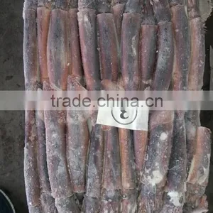 150-200g Frozen Illex Squid thumbnail-4