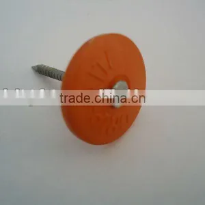 Torx Roofing Screw Nails With Plastic Caps China Supplier on Hot Sale thumbnail-1