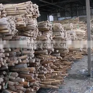 Raw Rattan Cane, Rattan, Cane, Rattan Meterial, Raw Material, Rattah Raw Mateiral, Rattan Cane thumbnail-5
