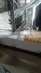 Single Head Confiture Filling Machine thumbnail-1