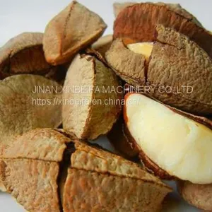 Abalone Fruit Drying Machine thumbnail-5
