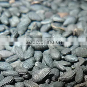 Black Seasme thumbnail-2