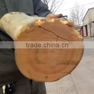 Runshine Since 1989 DWC22 Tree Branch Wood Chipper Shredder thumbnail-5