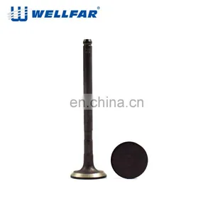 Wellfar D4Ea Automobile Parts Santafe 1.8T Ex Engine Valve For Korean Cars thumbnail-5