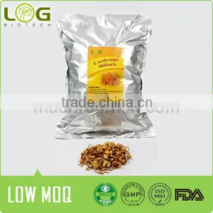 Chinese Dry Cordyceps Fungi Fruit Body thumbnail-2