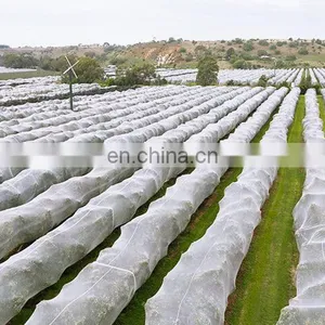 New Hdpe Cheap PE Anti-hail Net Agriculture Mesh Net Plant Bee Netting thumbnail-2