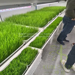 Hydroponic Fodder Container Farm thumbnail-2