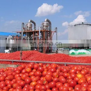 Factory Genyond Small Tomato Paste Ketchup Chill Pepper Sauce Fruit Jam Making Machine Production Line Processing Plant thumbnail-5
