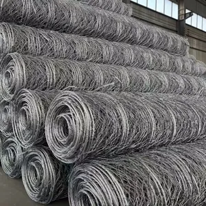 Galvanized Double Twist Steel Mesh Grid Structure Reinforced Mesh for Coastal Rockfall Protection Netting Factory Direct thumbnail-1