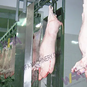 Small Medium Large Scale Pig Slaughter Line Customized Hog Processing Machinery With Installation Service thumbnail-1