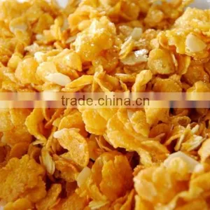 Corn Flake & Breakfast Cereals Machinery/processing Line /making Machine thumbnail-2