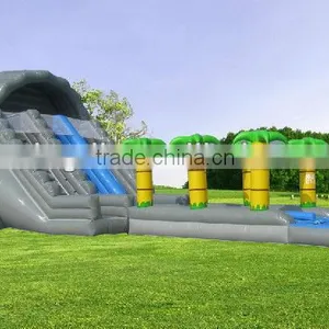Hot-selling Inflatable Water Slide With Pool Inflatable Palm Tree Water Slide thumbnail-1