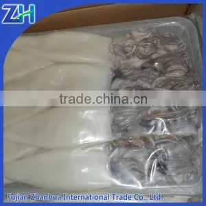 Illex Argentinus Frozen Squid Tube and Tentacle(tt) thumbnail-1