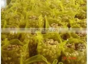 New Crop Ginger Farming With Competitive Export Price thumbnail-1