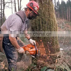 Wood Drying Kiln, Wood Treatment Machine thumbnail-4