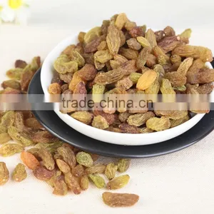 2015 Xinjiang Turpan Green Raisins Dried Grapes thumbnail-5