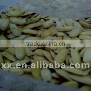 Turpan Hami Melon Seed thumbnail-1