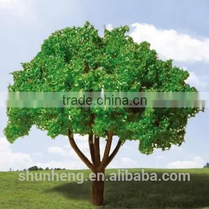 Architecture Model Tree Materials Wholesale Types thumbnail-1