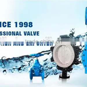 Ductile Iron Y Type Strainer Flanged Ends thumbnail-5