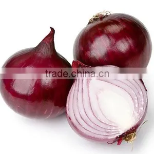 High Quality Onion for Sale | Onion Suppliers From India | Red Onion Exporters thumbnail-2