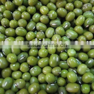 Green Mung Bean thumbnail-1