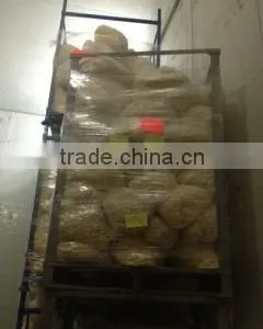 New Crop Frozen French Fries (7*7 mm / 9*'9 Mm) thumbnail-2