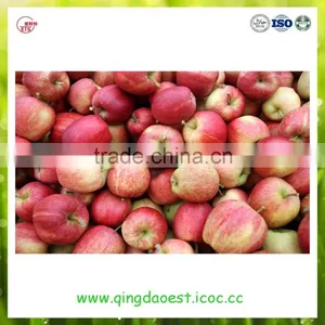2016 YanTai Fresh Royal Fruits Hot Sale Red Gala Apple thumbnail-3