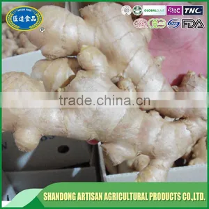 Professional Supplier,exporter Dry Ginger thumbnail-1