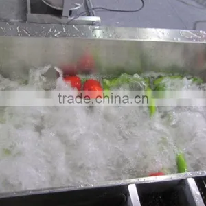 Industrial Commercial Ozone Disinfected Vegetable Fruit Washing Machine thumbnail-1