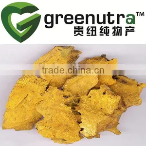 Giant Knotweed Root Extract Powder/polygonum Cuspidatum Root Extract Powder/polygonum Cuspidatum Root Powder thumbnail-1