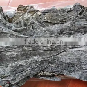 Comestic Usage Green Color Dried Whole Plant Part Kelp Seaweed Sheet thumbnail-2