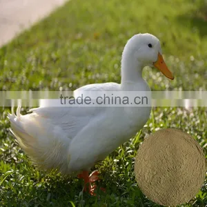 High Quality Kelp Meal Organic Fish Fertilizer thumbnail-6