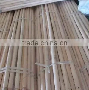 120CM LONG HANDLE WOODEN STICK FROM VIETNAM BROOMS MANUFACTURER thumbnail-3