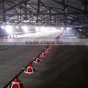 Poulty Plastic Drain Dung Floor for Farming Broiler Chicken House thumbnail-4